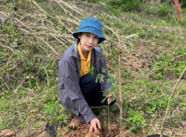 จัดกิจกรรมปลูกต้นไม้ ภายใต้โครงการ &quot;สหกรณ์อาสา ทำความดี ... พารามิเตอร์รูปภาพ 9